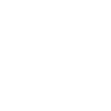 ECOMMERCE PAYMENT PROCESSING